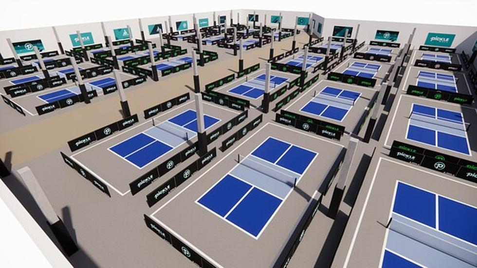 &#8216;Picklemall&#8217; to Transform Minnesota Shopping Center Into Giant Pickleball Complex
