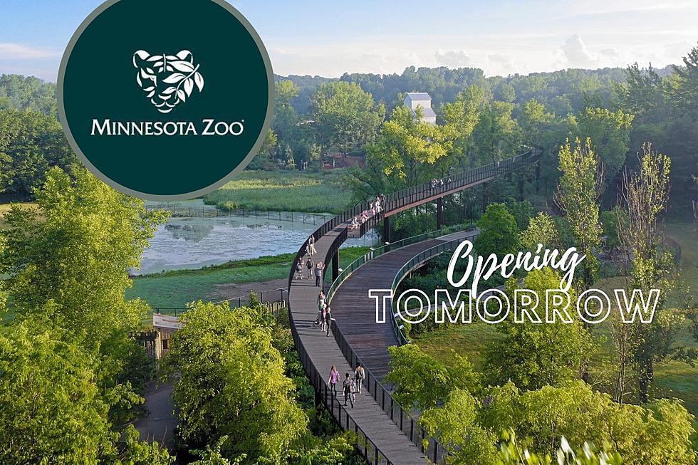 Minnesota Zoo’s New Treetop Trail is Now Open