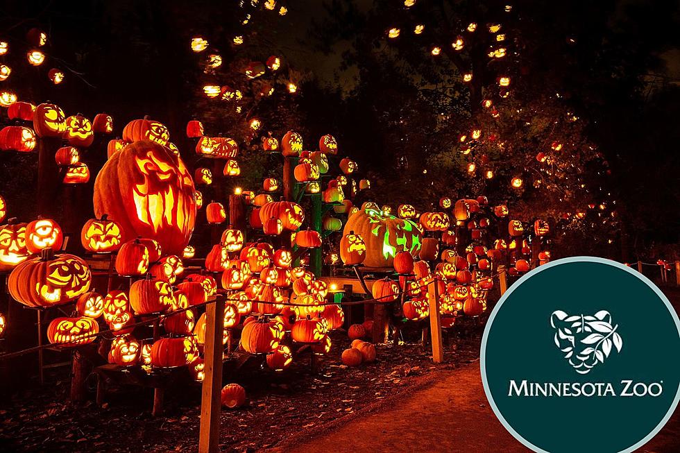 Minnesota Zoo&#8217;s Jack-o-Lantern Spectacular is Back this Fall