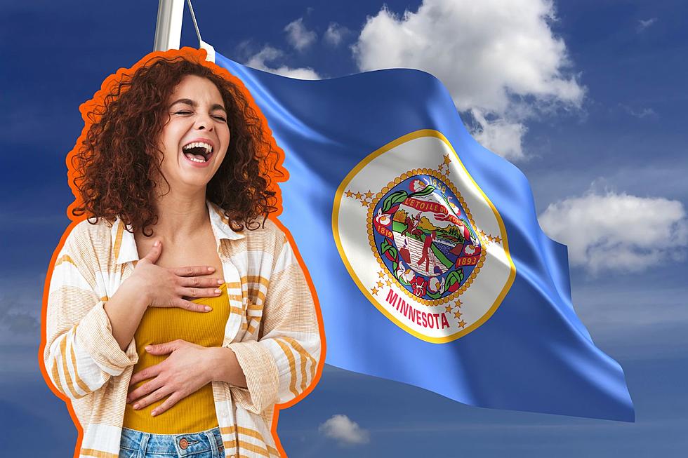 See the Funniest Submissions for Minnesota’s New Flag Design