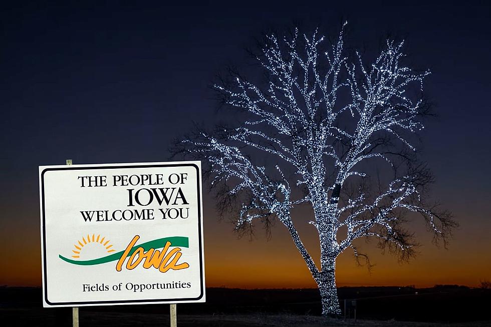 MUST SEE: 80,000 Lights Illuminate Iowa's Stunning Tree!