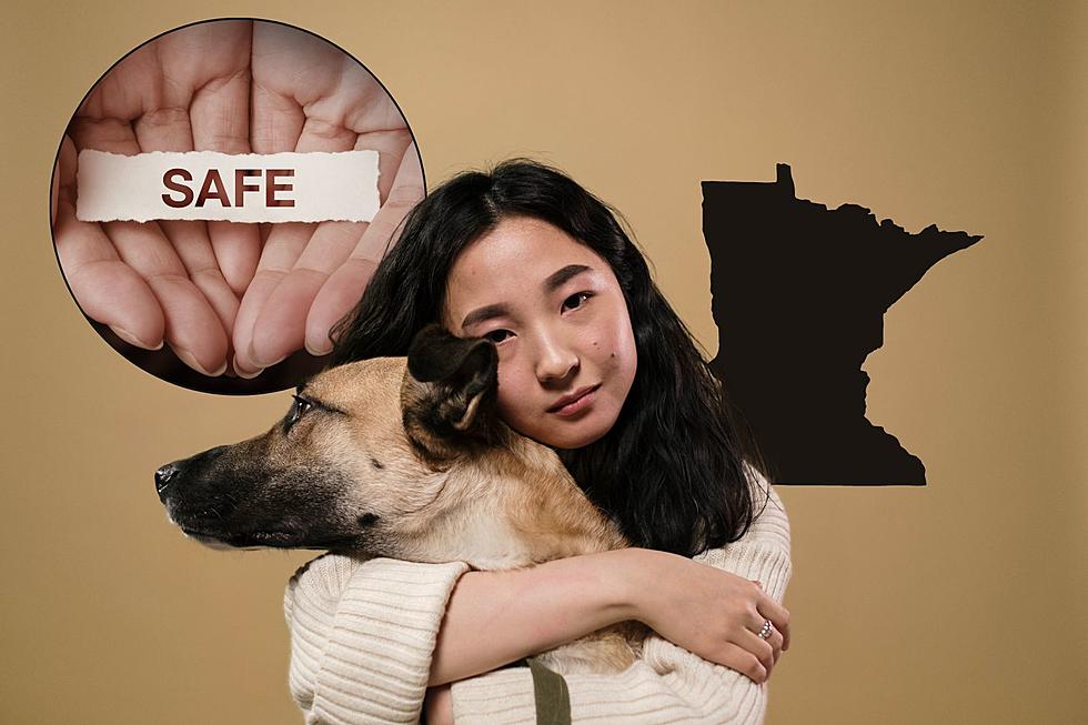 New Safe Haven Will be First of its Kind in Minnesota Metro