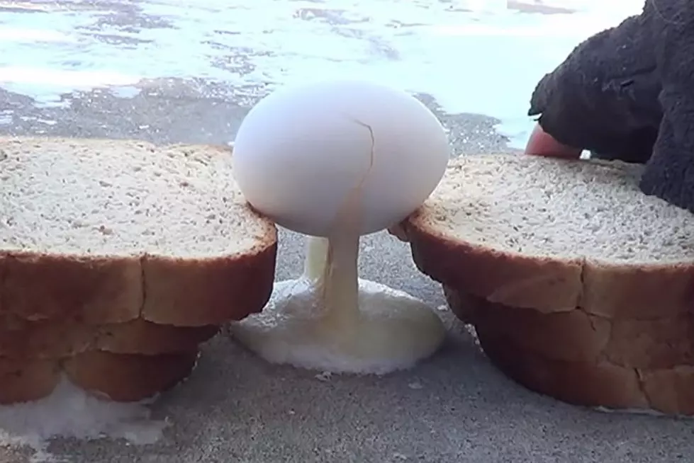 It Was Sooo Cold In Minnesota, Eggs Froze in Mid-Air?