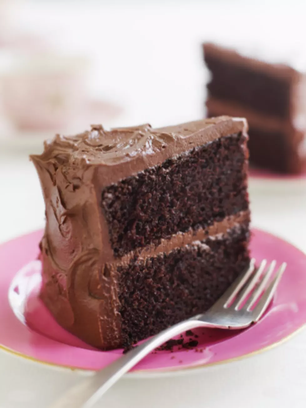 Today Is National Chocolate Cake Day!