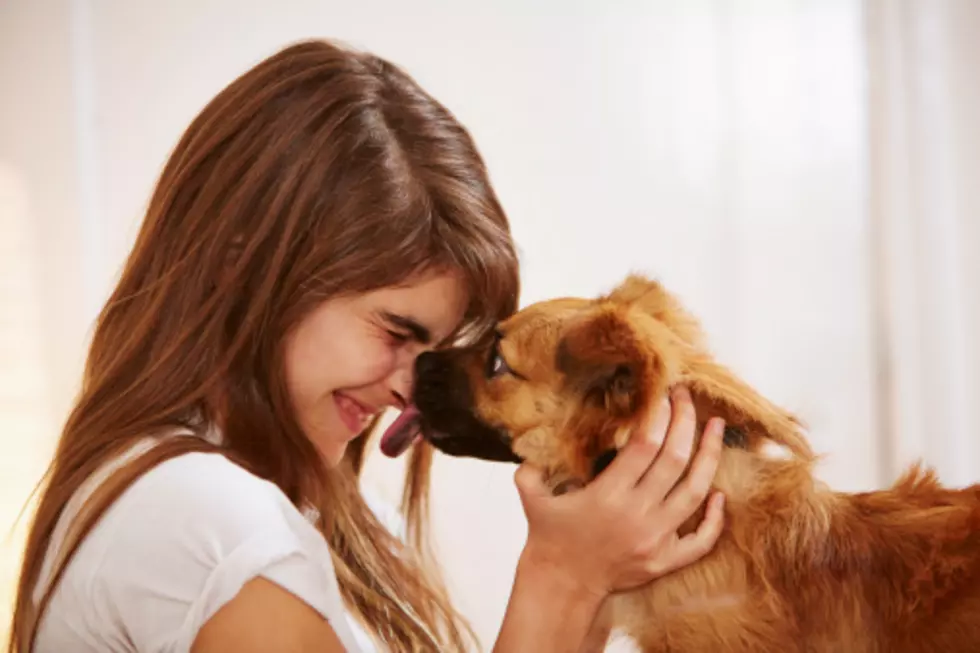 23 Ways Your Boyfriend Is Exactly Like A Puppy- Can You Relate?