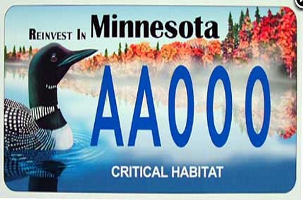 You Could Design the New Minnesota State Parks and Trails License Plate
