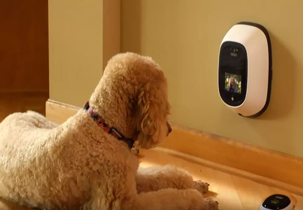 Minnesota Company’s Invention Allows Your Pets to Call You