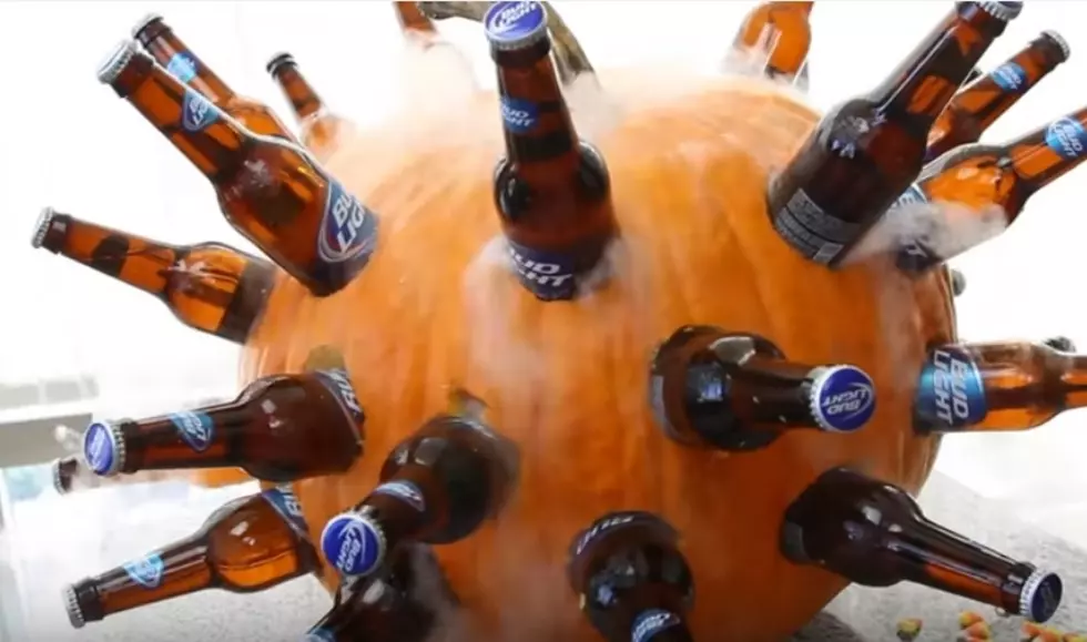 Rochester’s Most Authentic Halloween Cooler