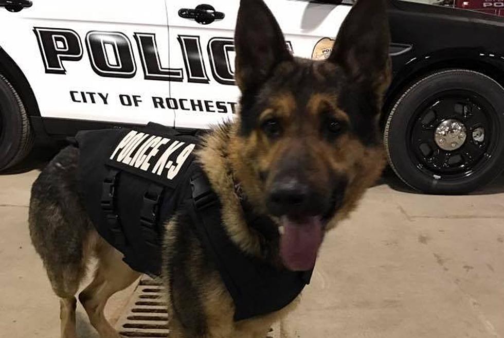Rochester Police K-9 Unit Loves Their New Body Armor Vests!