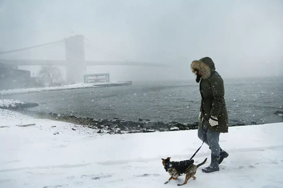 The Northeast Is Freaking Out About What We Call ‘Winter’ In Minnesota