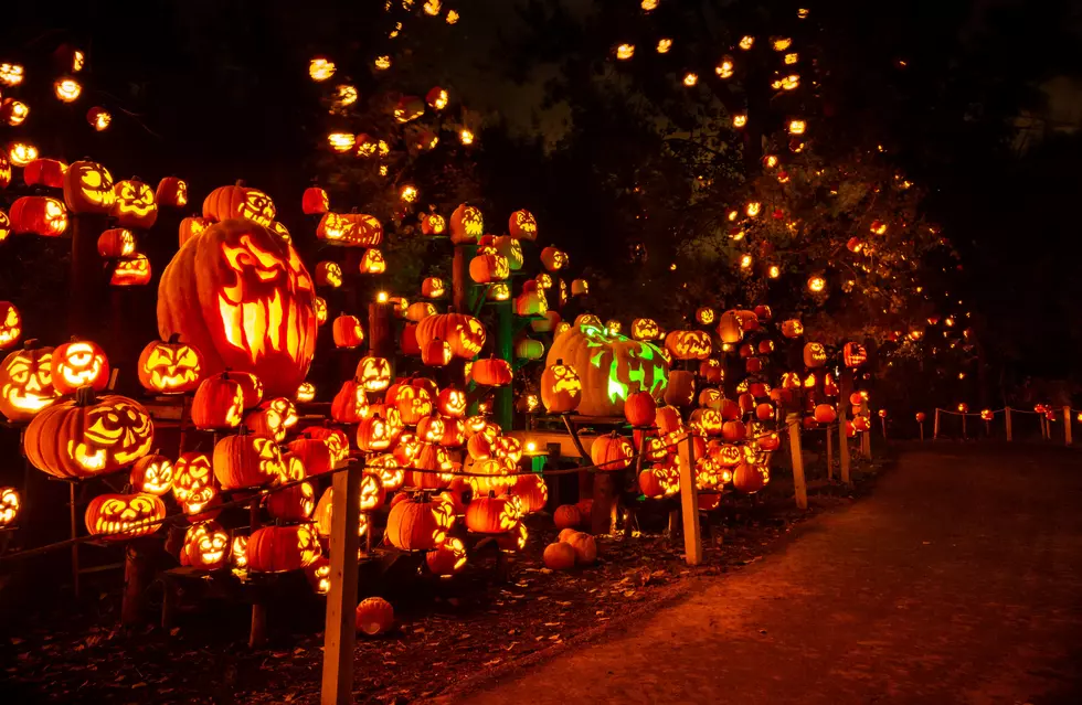 Minnesota Zoo’s Spooky Glowing Jack-O-Lantern Trail Is a Must-See This Fall