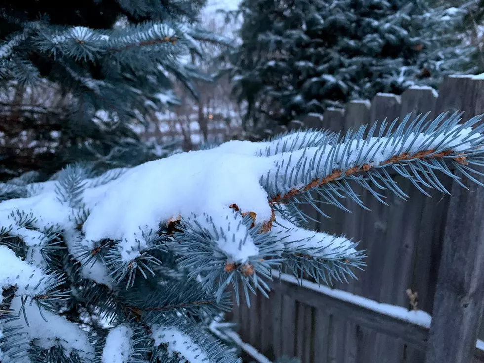 10 Ways to Make Winter Less Miserable in Minnesota