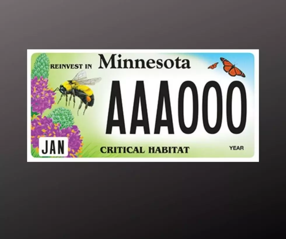MnDOT Introduces New Critical Habitat License Plates in Minnesota