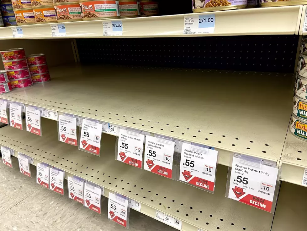 What’s Causing the Canned Cat Food Shortage in Rochester?