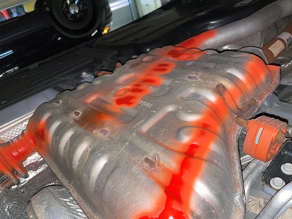 Minnesota Police Department To Help Protect Your Catalytic Converter