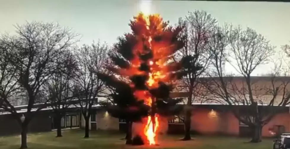 WATCH: Lightning Destroys Tree at Wisconsin High School