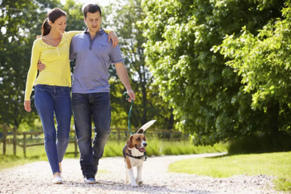 Should Minnesota Legally Require You to Take Your Dog For a Walk?