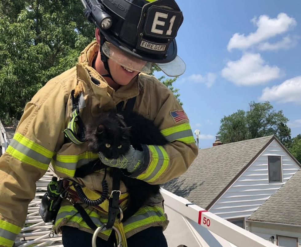 Pet-Lovers: Rochester Fire Fighters Just Did The Cutest Thing