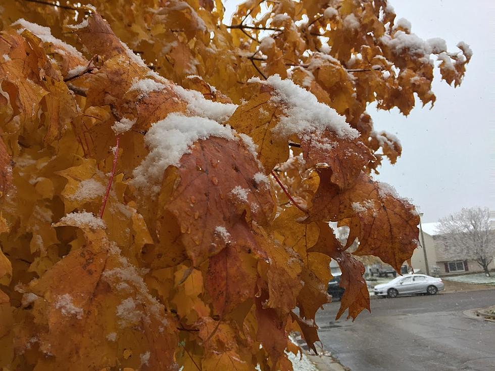 Yes, There&#8217;s a 4-Letter &#8216;S&#8217; Word in the Fall Forecast For Minnesota This Year