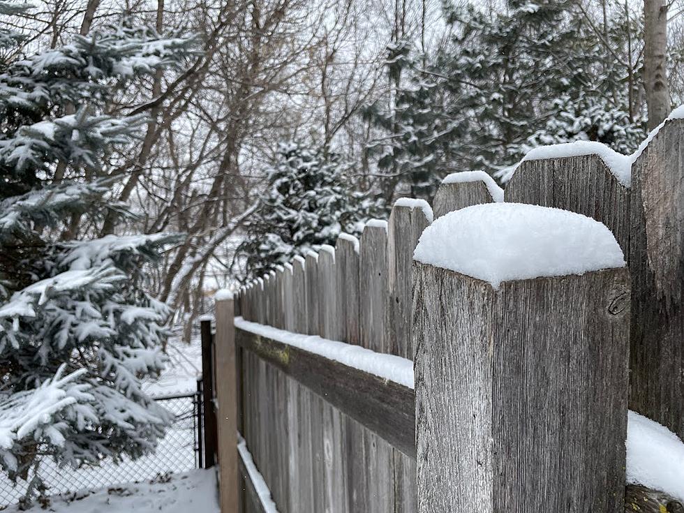Why It’ll Be Colder and Snowier the Rest of this Winter in Minnesota