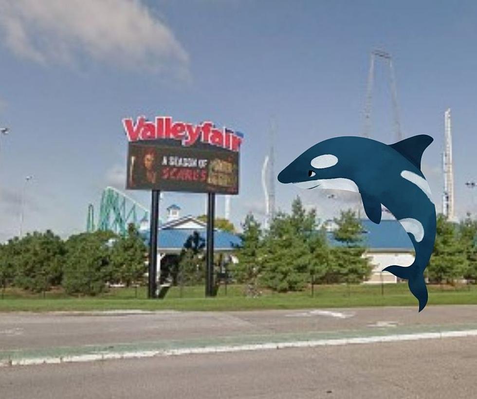 Shamu in Minnesota? SeaWorld Makes Offer to Buy Valleyfair