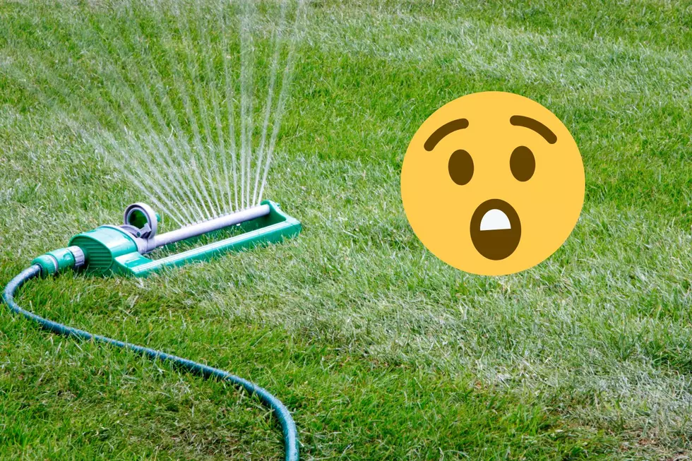 You've Been Watering Your Lawn Wrong