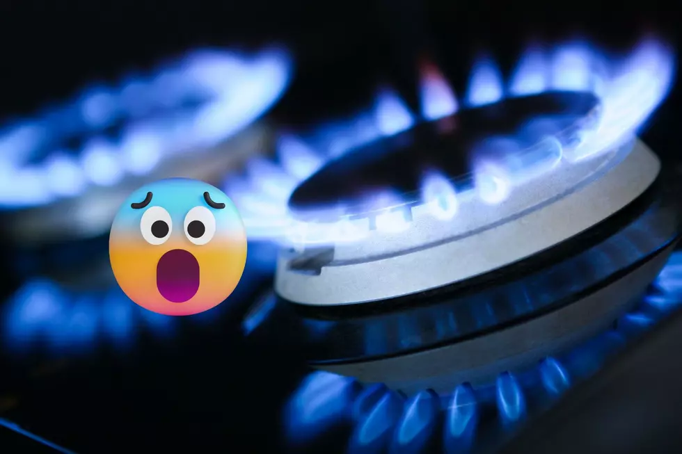 The Latest Natural Gas Price Forecast Looks Painful For Minnesota