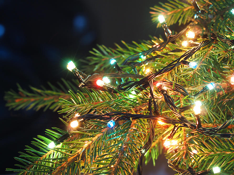 Good News For Christmas Light Lovers in Minnesota