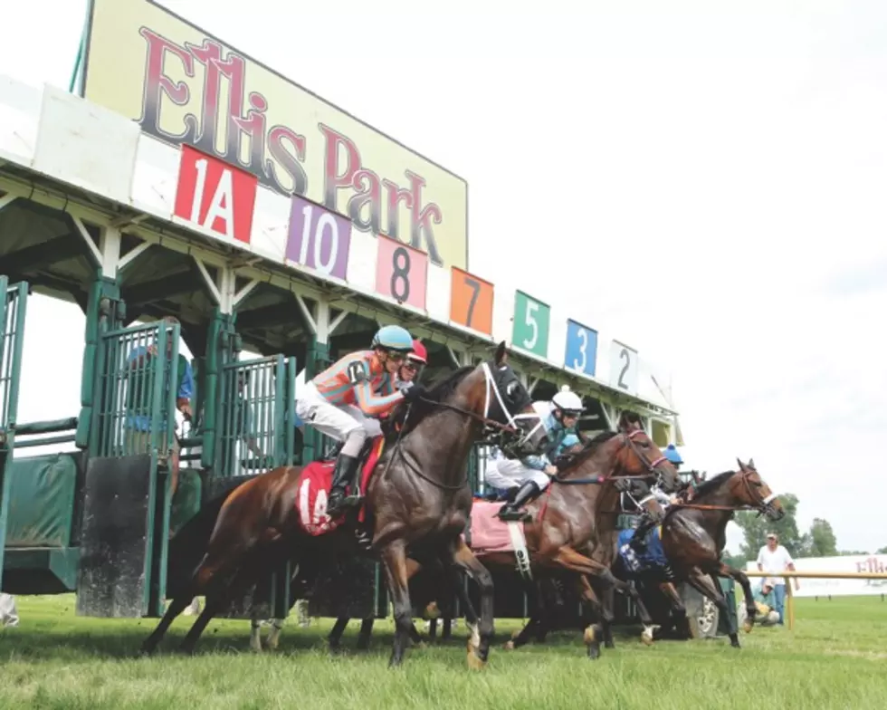 Ellis Park Offers A Behind-The-Scenes Look At Horse Racing