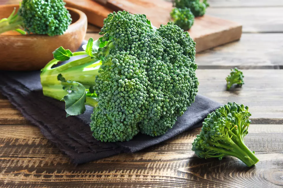 DIY Fall Craft Will Have Your Kids Crazy Abut Broccoli