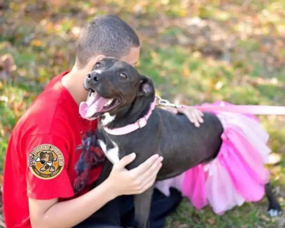 Rosa is a Sweet Girl [103 GBF PC Pound Puppy of the Week]