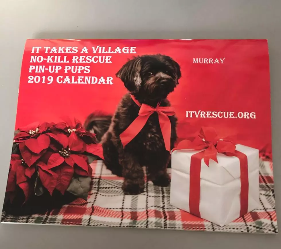 This 2019 Calendar Helps Out an Evansville Rescue!