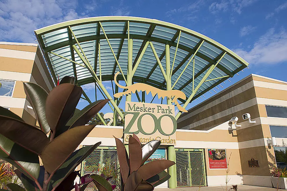 Mesker Park Zoo Gives Update on Reopening