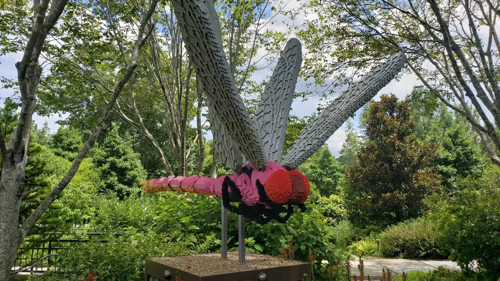 Exhibit With Nearly 500k Legos Displayed At Asheville Arboretum