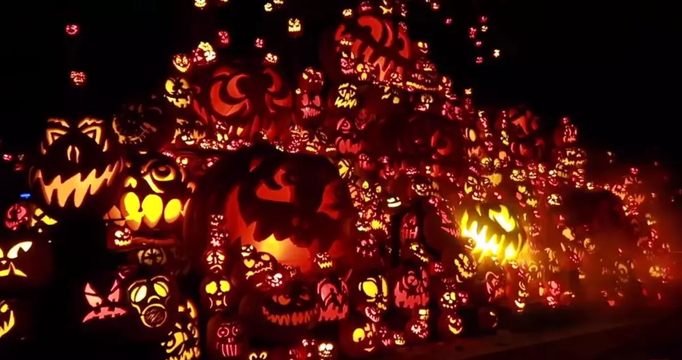 Louisville’s Jack O’ Lantern Spectacular Will Be Drive Through This Year