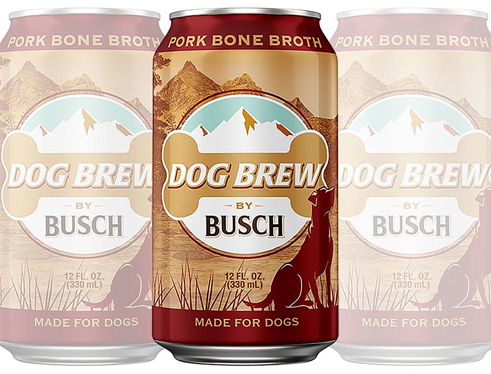 Busch Releases Dog Brew Beverage for Dogs