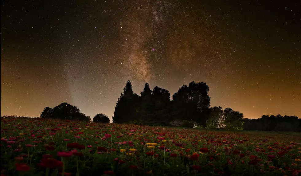 Must See: Astrophotography Taken Over Southern IL Zinnia Field