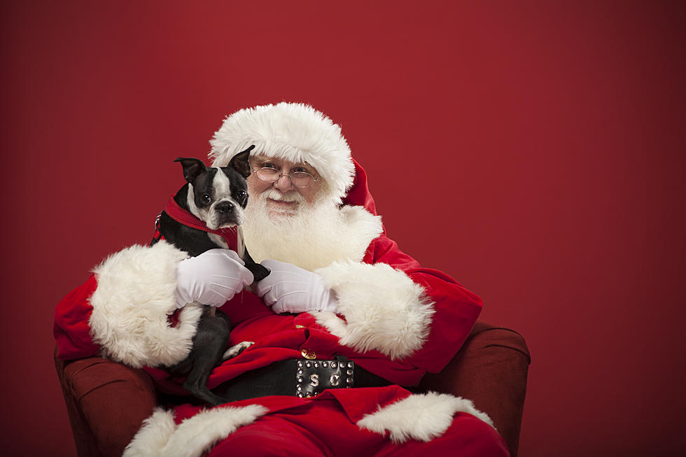 Get Your Pet's Picture With Santa And Help It Takes a Village