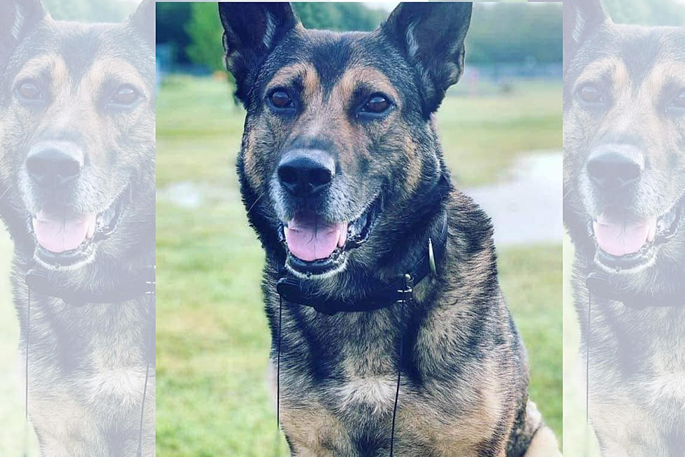 EPD Announces the Passing of EPD K9 Abot