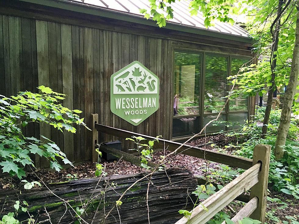Get Into Wesselman Woods Free with Your Library Card on June 30th