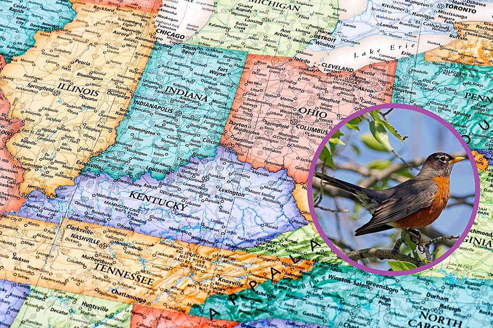 More States Reporting Sick & Dying Birds Including Indiana & Kentucky