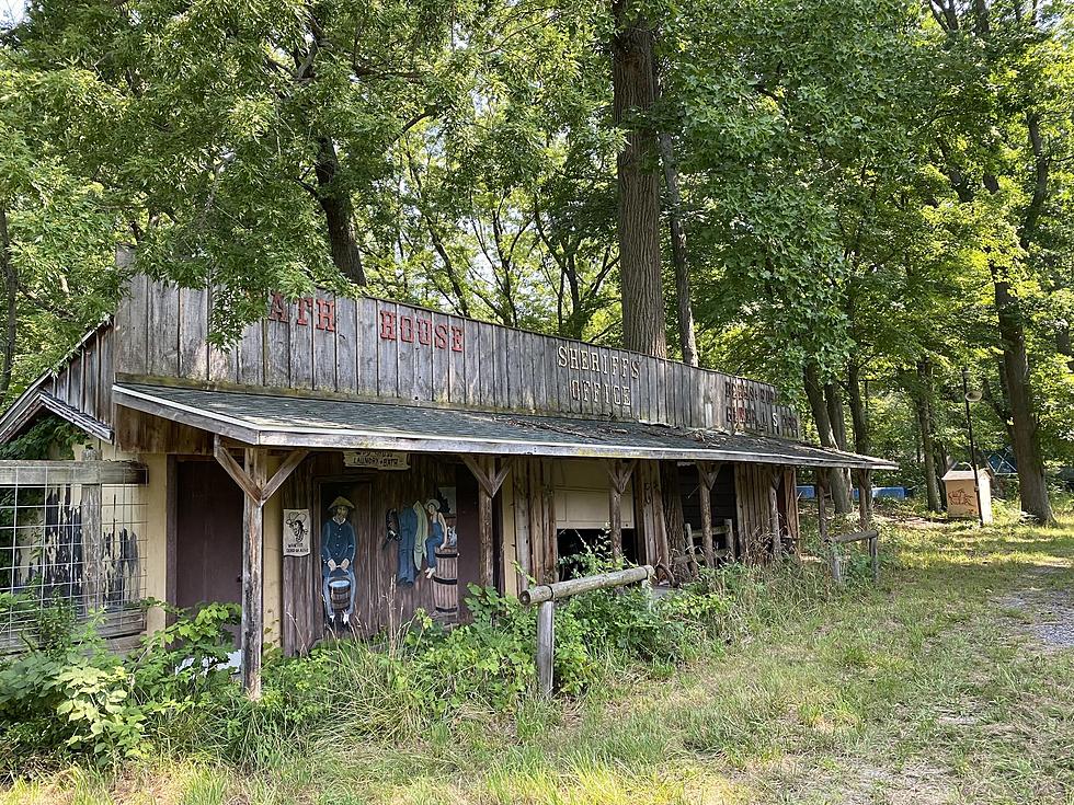 See 25 Photos of a Creepy Abandoned Amusement Park That is up for Auction in the Midwest