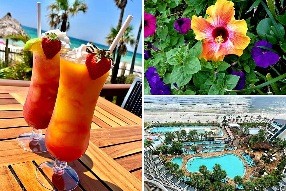 25 Photos that Prove the Holiday Inn Resort is the Best Destination in PCB