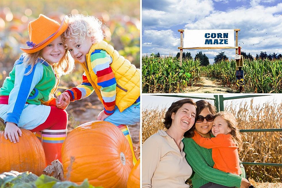 30 Best Pumpkin Patches & Farms to Find Fall Fun Around Southern Indiana