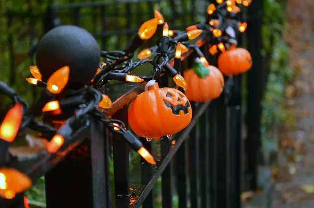 Over 10,000 Lights to Light Up Newburgh Walking Trail for Halloween