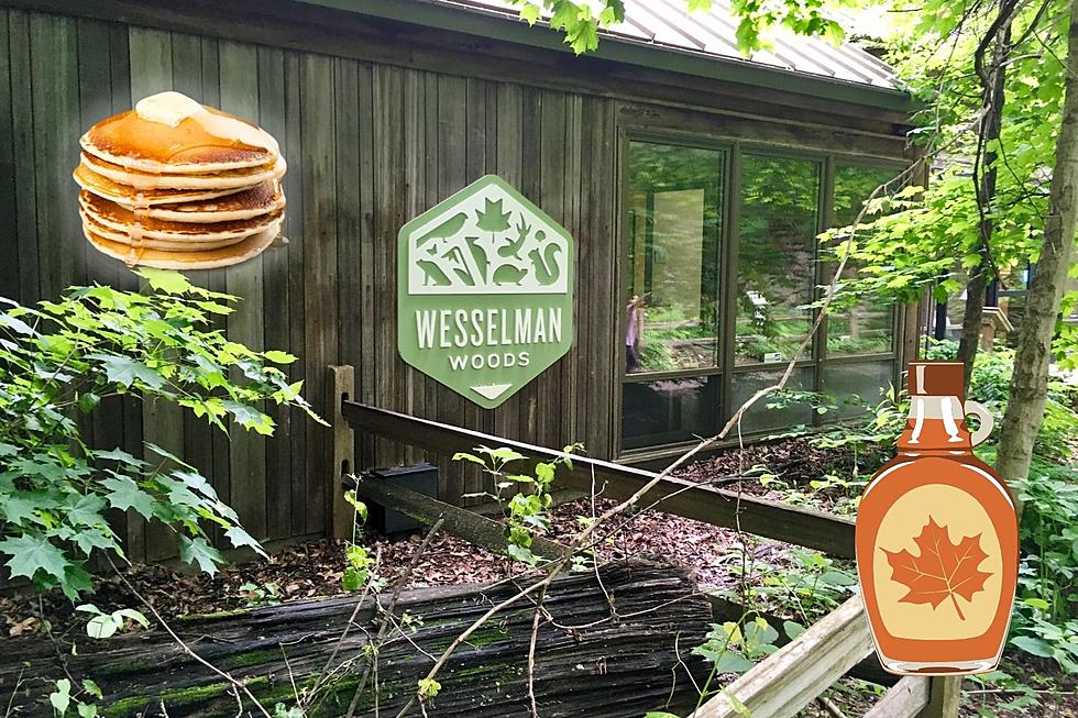 Wesselman Woods’ 44th Annual Maple Sugarbush Festival March 5th & 6th