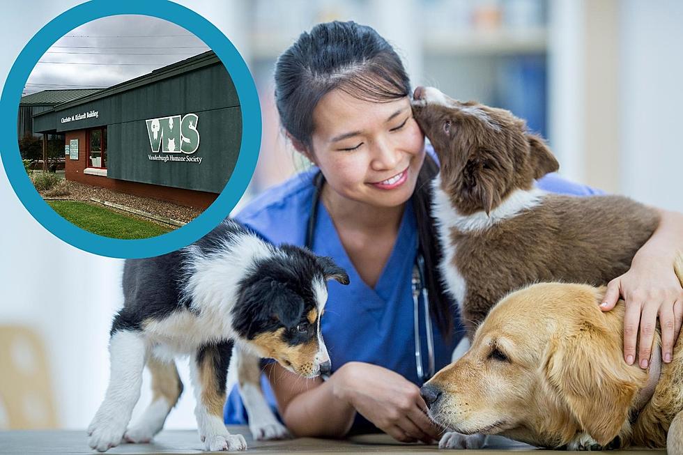 Upcoming Low-Cost Pet Vaccine Clinics in Evansville