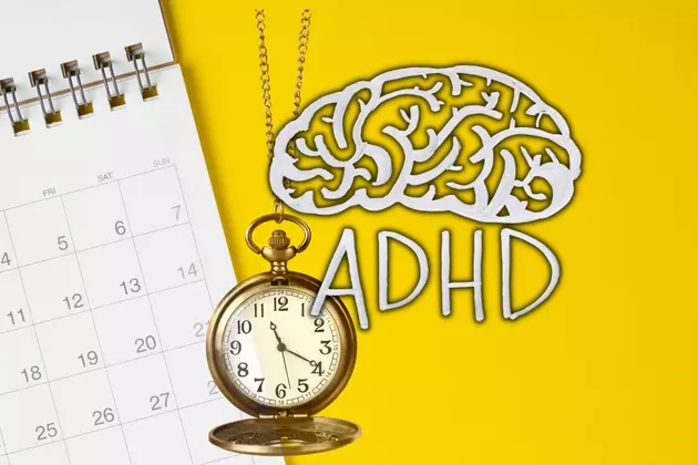 Object Permanence &#8211; The Bane of My Adult ADHD Existence