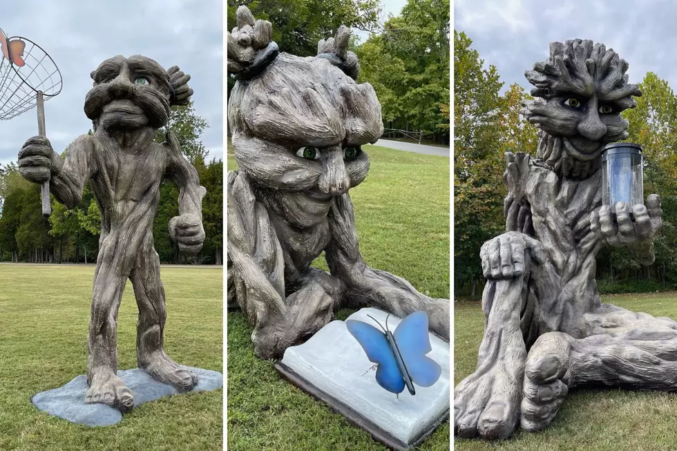 Three New 14-foot-tall 'Big Twigs' Welcome Visitors to KY Park