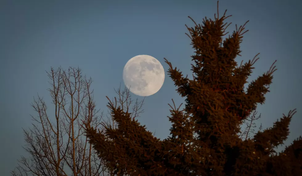 The Cold Moon Will Be the Final Full Moon of 2022